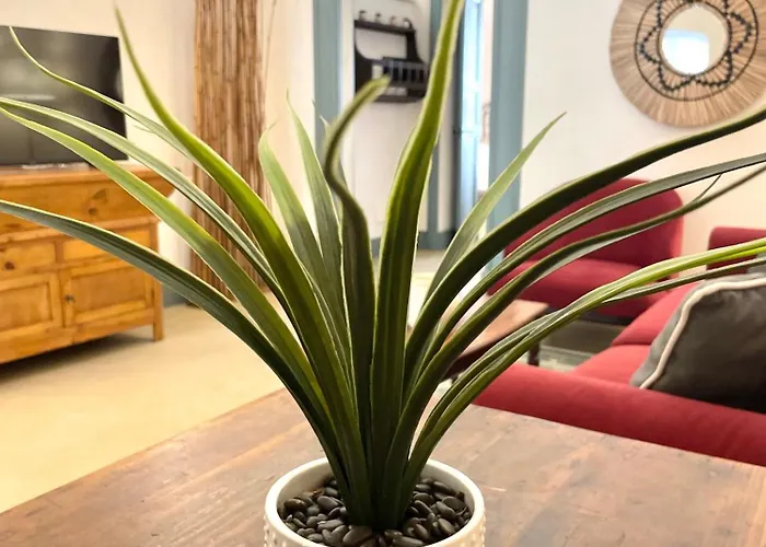 Chiostro D'oro, Il Benessere Nel Centro Citta Lägenhet